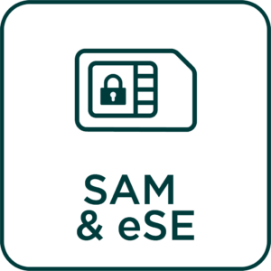 Icon SAM & ESE