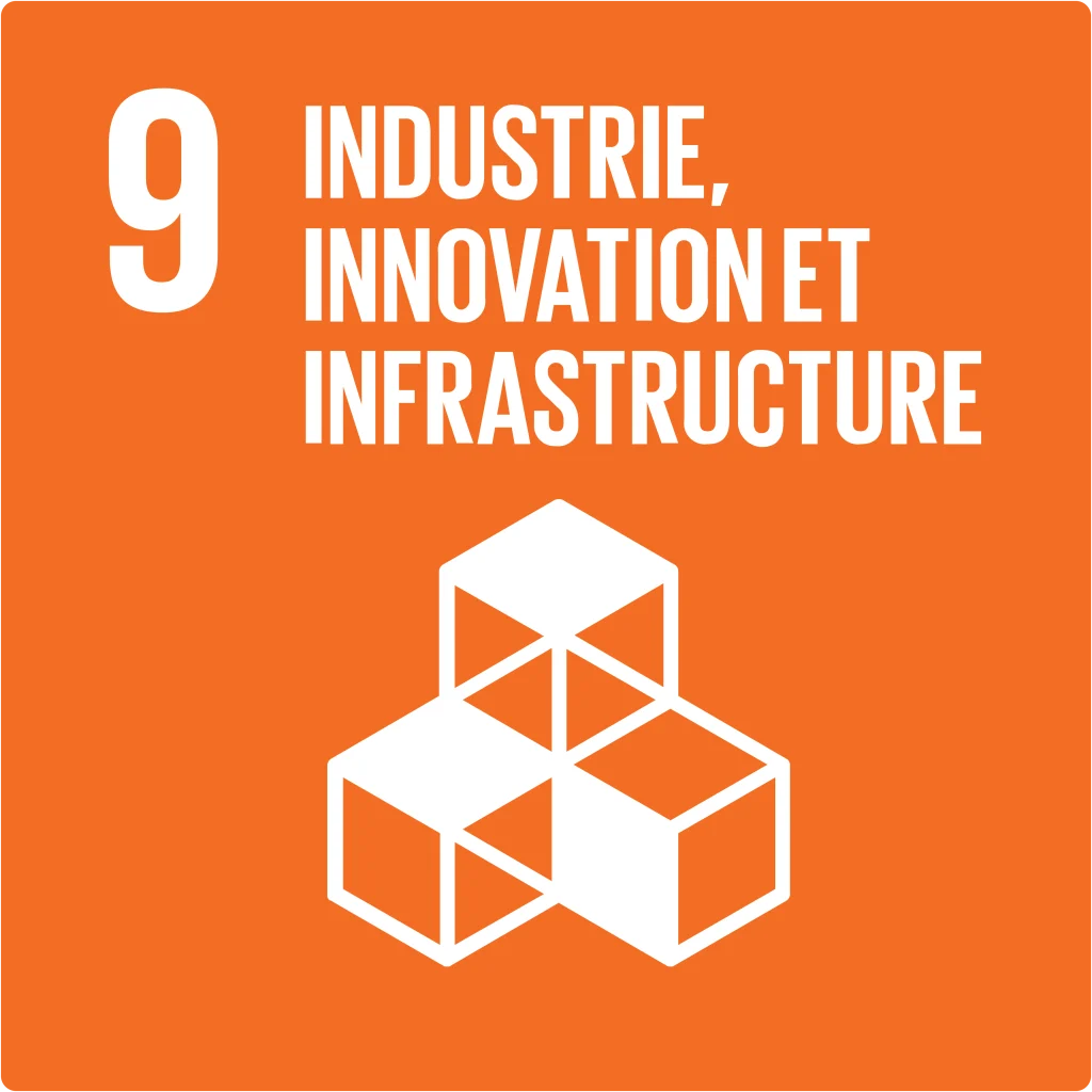 SDG Innovation and infrastructure