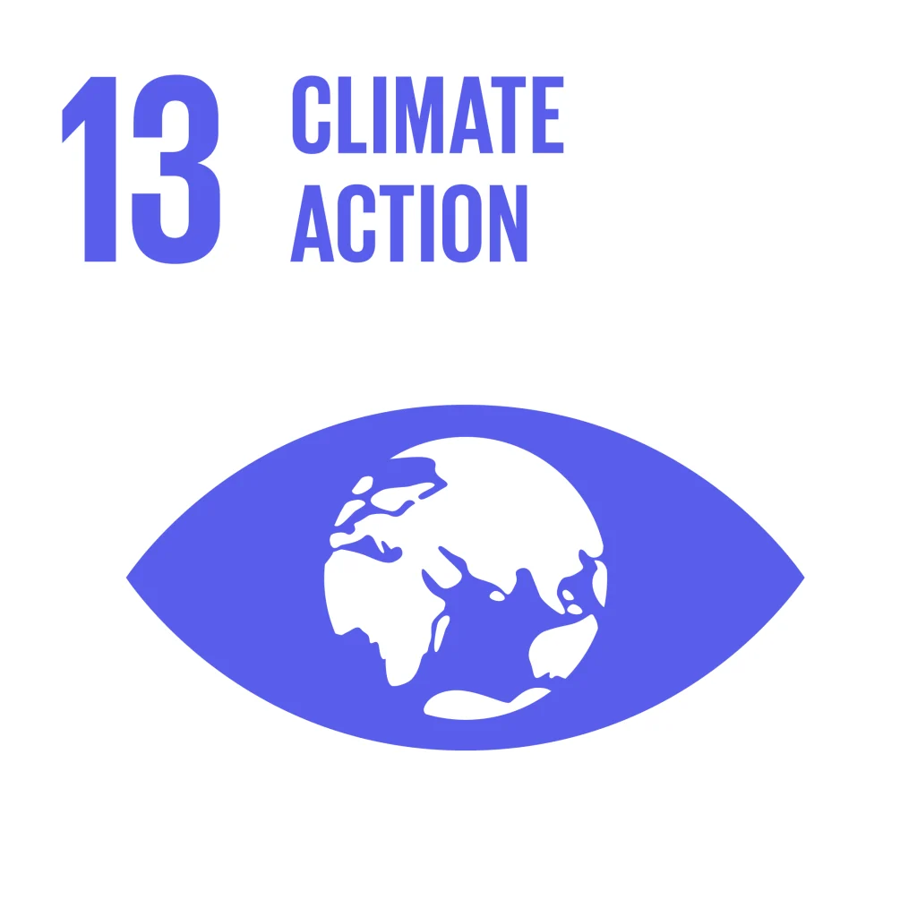 SDG Climate Action negatif